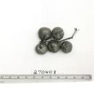 Click for 5 image(s) for this accession. FRUIT